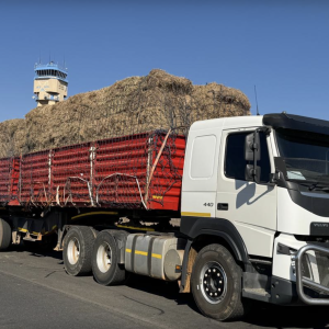 Bale For Sale in Gauteng - Truck Load - Bulk Order